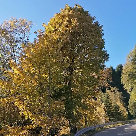 Haus Martina Апартаменты Тукс