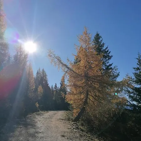 Апартаменты Haus Martina *