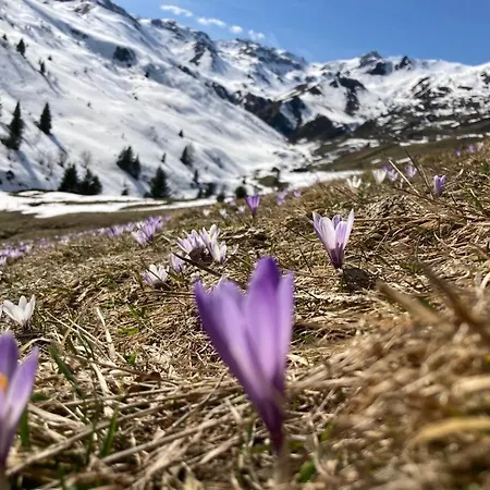 Apartment Haus Martina