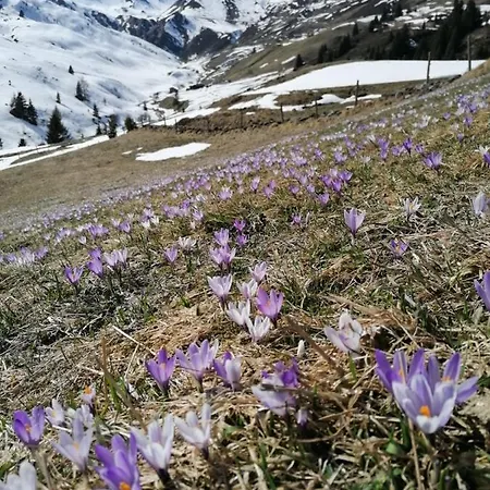 Haus Martina Апартаменты Тукс