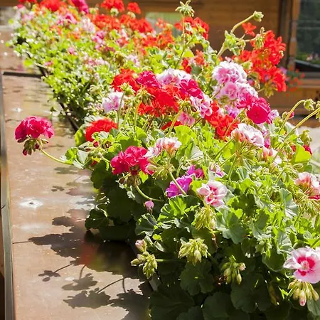 Haus Martina Тукс