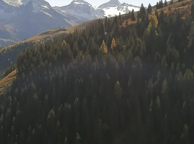 公寓 Haus Martina 图克斯