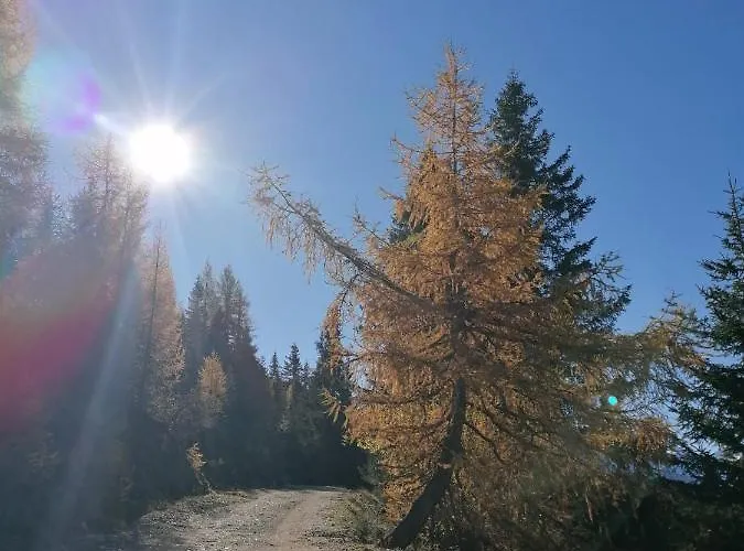 公寓 Haus Martina *