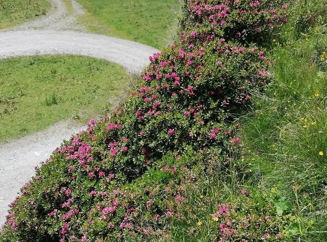 Haus Martina * 图克斯